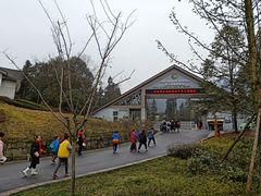 -中国大熊猫保护研究中心雅安碧峰峡基地