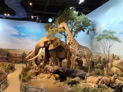 -陕西自然博物馆