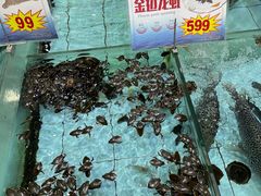 -渔民新村(番禺总店)