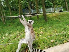 -杭州野生动物世界