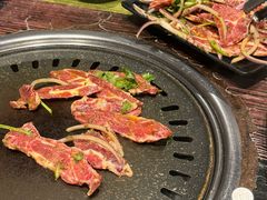 -红岸碳烤齐齐哈尔原味生态烤肉