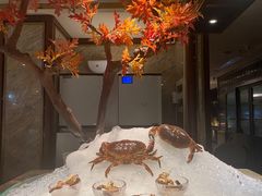 -半岛翡丽海鲜自助餐厅(观风亭店)