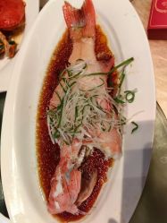 -上海浦东喜来登由由大酒店·宴会厅