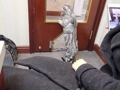 -宠爱国际动物医院· 猫科· 外科·中兽医(长白店)