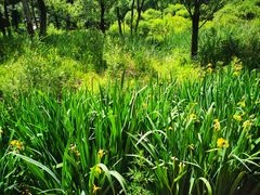 -玉渡山自然风景区