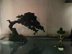-觀芷隐轩