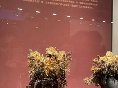 -贵州省博物馆(新馆)