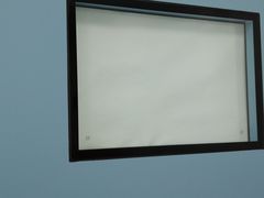 -北京赛佳动物医院