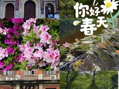 -岳麓山风景名胜区