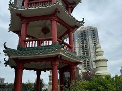 -陶陶居酒家(第十甫路总店)