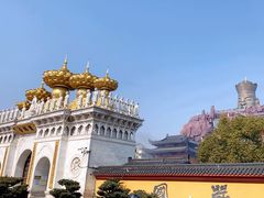 -上海东林寺(金山区)