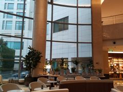 正山小种茶-Plush大堂酒廊(北京金融街威斯汀大酒店)