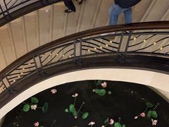 -千岛湖鱼味馆(十字街总店)