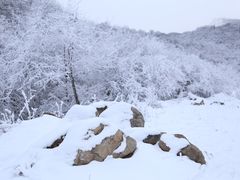 -太子岭滑雪场