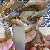 🍤0失误“蒜蓉烤大虾”，好吃到没朋友‼️高颜值家常菜