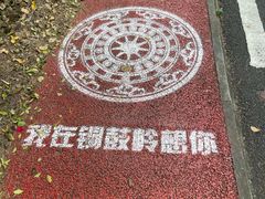 -海南铜鼓岭景区