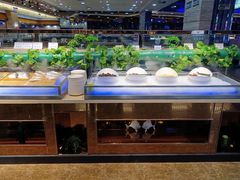 -双合盛自助烤肉(欧亚购物中心店)