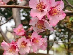 -白塘生态植物园