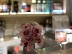 -HUATA 'Holiday Plan 花榻