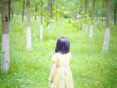 -白鹭湾湿地公园