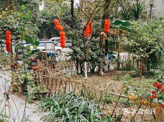 开春了，鸟语花香。还不知道门前的花园怎么安排