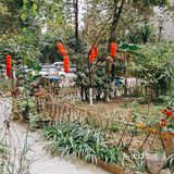 开春了，鸟语花香。还不知道门前的花园怎么安排