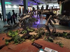 -自贡恐龙博物馆