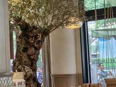 大堂-ELI FALAFEL Lebanese&Mediterranean黎巴嫩美食(富城路店)