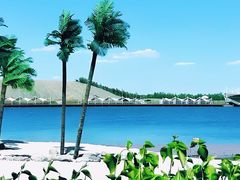 -呼兰河口湿地公园