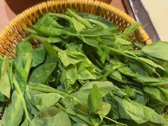 -巴奴毛肚火锅(龙湖锦艺城店)