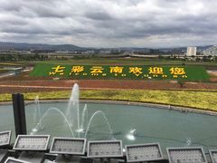 -蔼若春.传承三十年云南菜(金碧公园店)