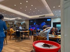 -国家五钻酒家·西樵旺阁渔村(西樵店)