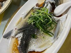 -洞密园美食城·二十二年老店(富华路店)