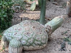 -黄埔荔枝公园