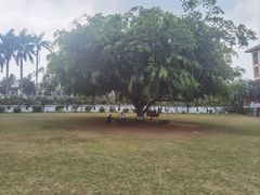 -侯臣咖啡文化村