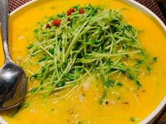 高山岩米菠菜苗-肴约·花园式餐厅(湖里店)