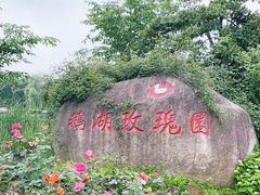 -鹅湖玫瑰文化园