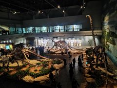 -自贡恐龙博物馆