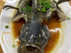 清蒸石斑鱼-明记海鲜大排档(巽寮湾店)