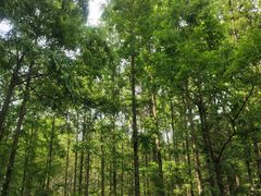 -河南省黄河迎宾馆