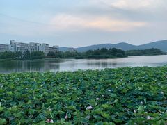 -江南大学(蠡湖校区)