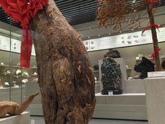 -北京中医药大学-中医药博物馆