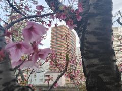 -三井花园酒店大阪普米尔