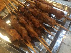 -海拉尔碳烤羊腿烤鸽子(吕营店)