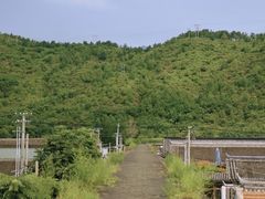 -遥桥古堡