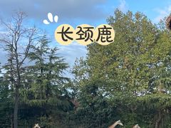 -上海野生动物园