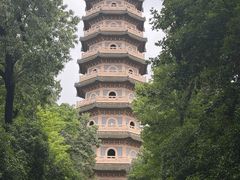 -灵谷景区