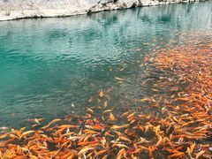 -楠溪江风景名胜区