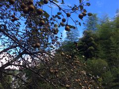 -南尖岩景区