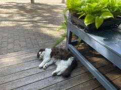 -花到家(富贵鸟花艺行)